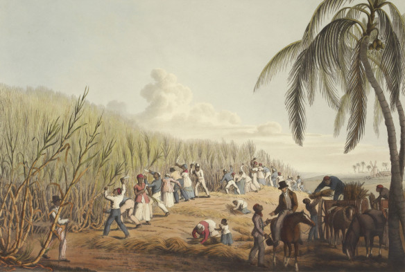 Sklaven auf Zuckerrohrplantagen Foto British Library/unsplash