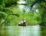 Evergreen Island Foto wwf